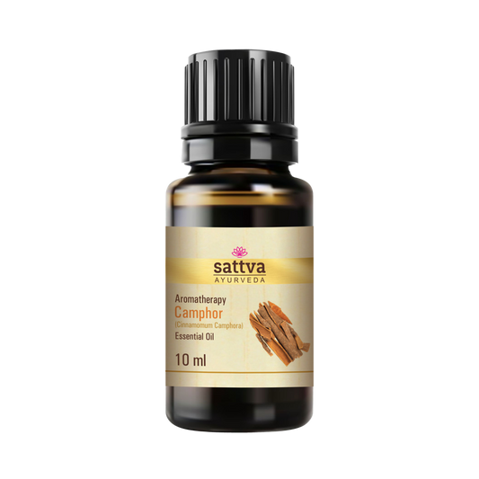 Camphor Essential Oil