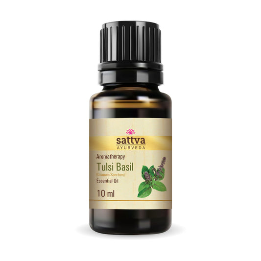 Tulsi essential oil