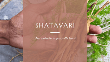 shatavari ajurwedyjskie zioło dla kobiet