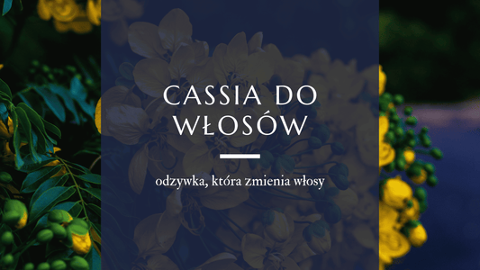 Kwiaty cassia obovata 