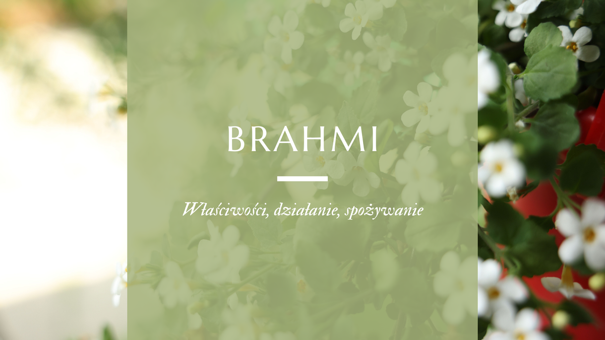 Brahmi bacopa monnieri - właściwości