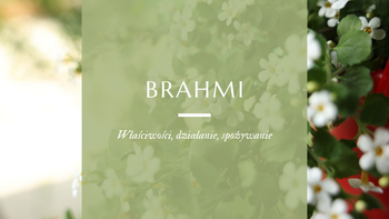 Brahmi bacopa monnieri - właściwości