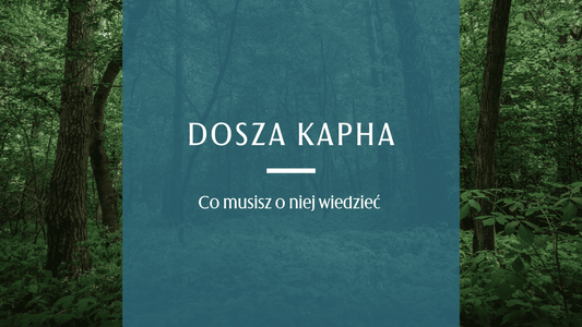 las to krajobraz doszy kapha