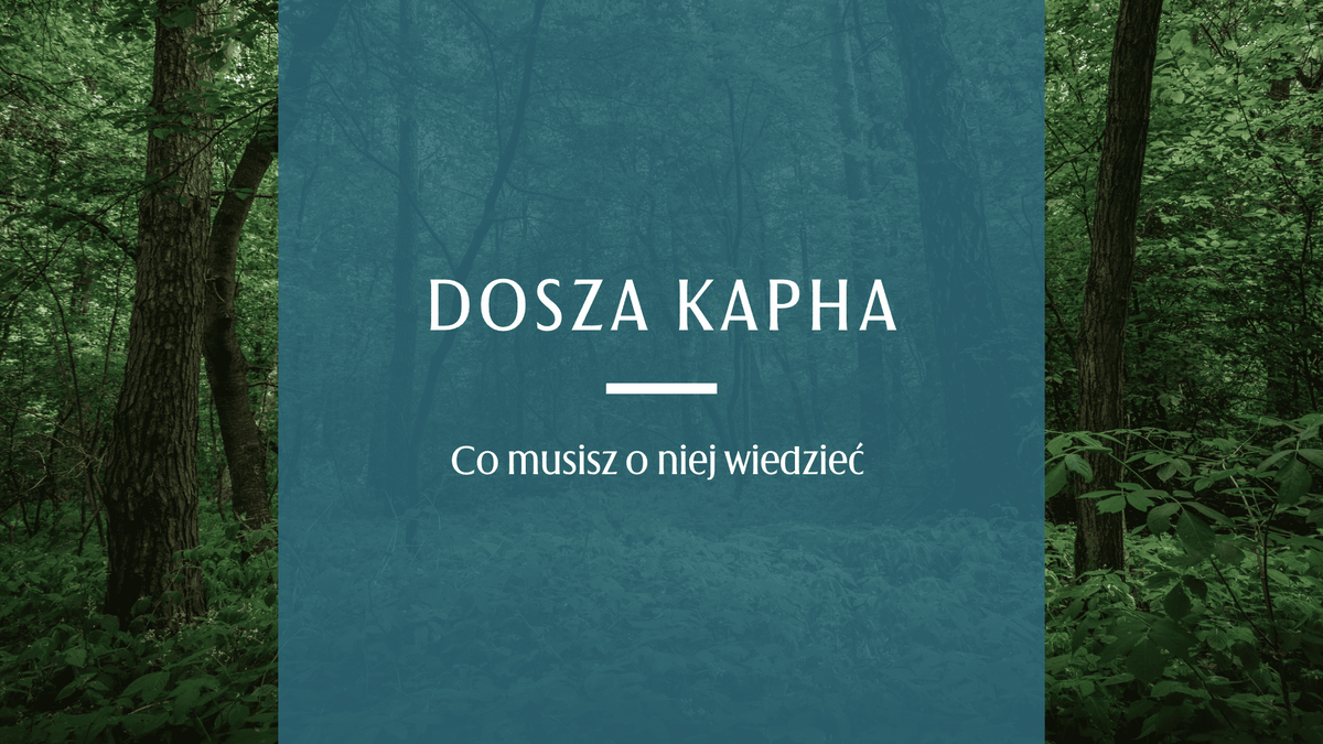 las to krajobraz doszy kapha