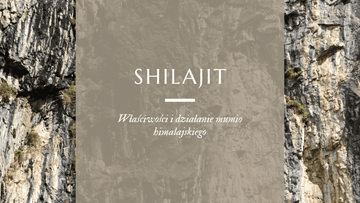 shilajit wypływający ze skał w himalajach