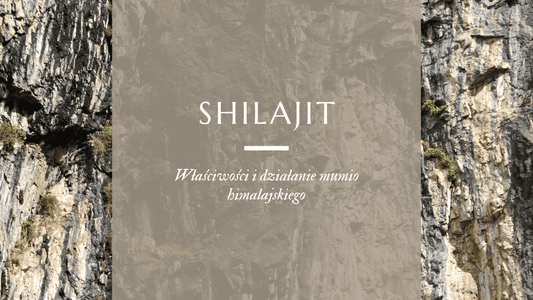 shilajit wypływający ze skał w himalajach