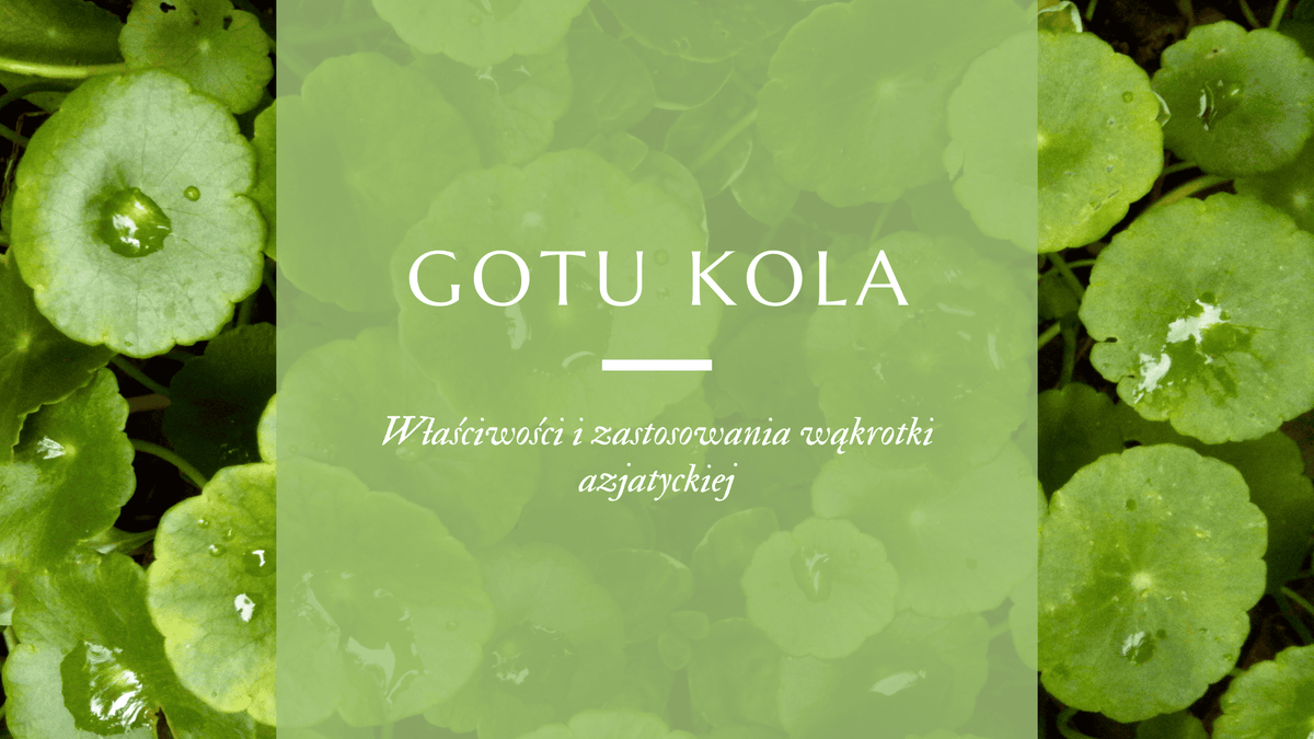 Właściwości ajurwedyjskiej rośliny gotu koła (centyla asiatica)