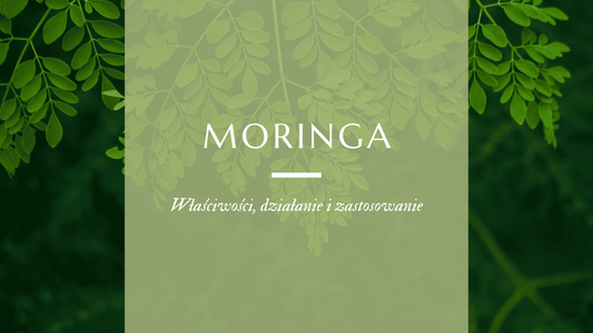 moringa i jej działanie  oraz stosowanie 
