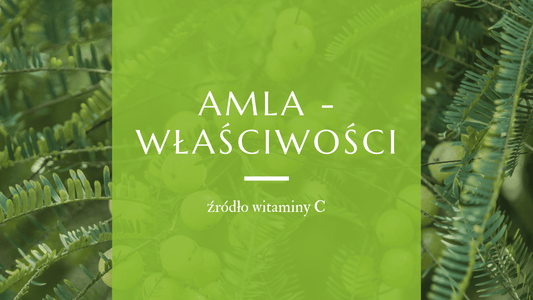 Gałązki z owocami amla (Amalaki)