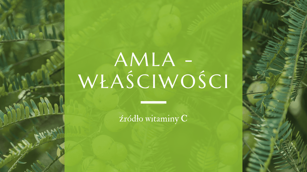 Gałązki z owocami amla (Amalaki)