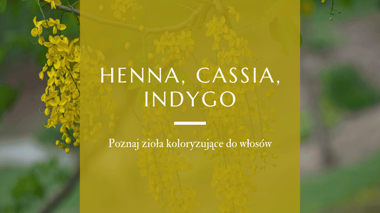 Zioła barwiące włosy