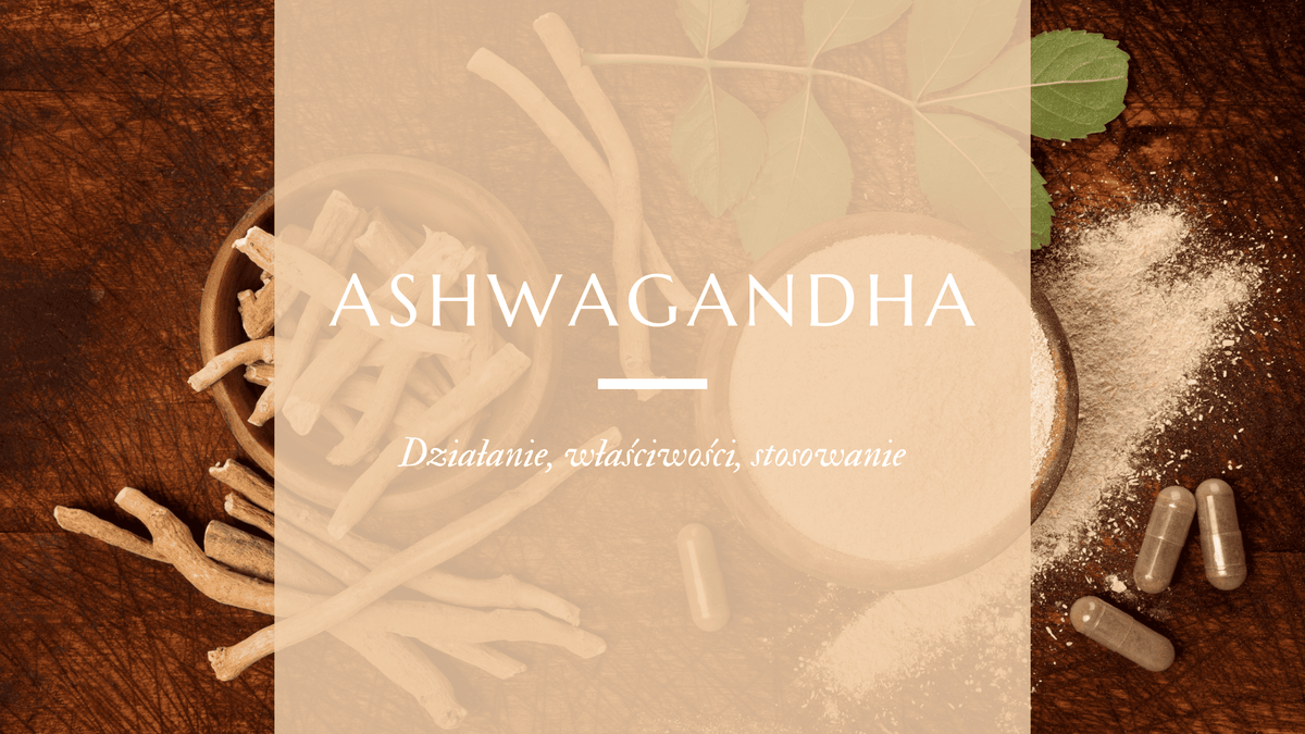 Korzeń z ashwagandy withania somnifera