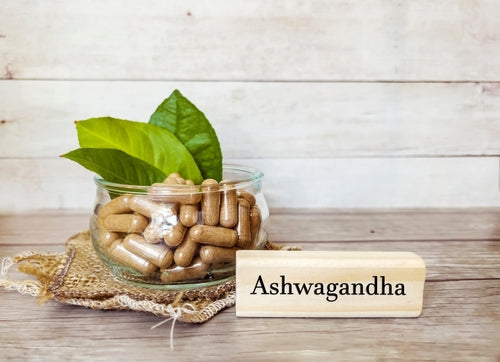 Ashwagandha — działanie, właściwości i stosowanie