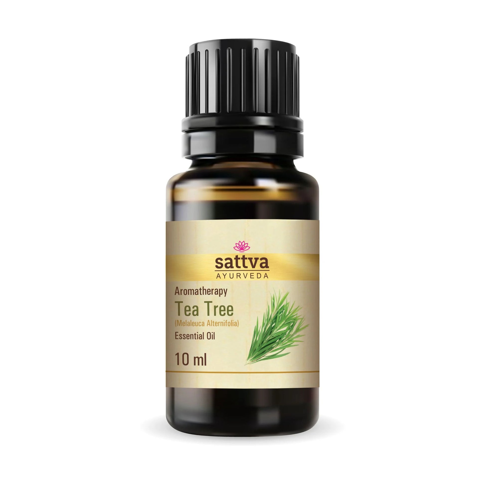 Olejek eteryczny drzewo herbaciane 10 ml - Product Image