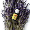 Olejek eteryczny lawendowy 10 ml - Product Image